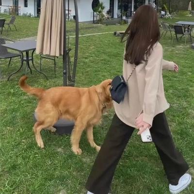 借来的时间